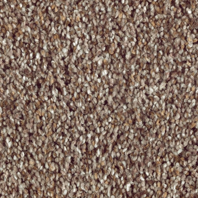 Nature's Luxury Ii Stonework Triexta Carpet - Textured