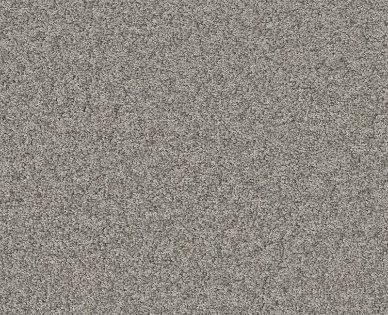 Memorable I Grey Fox Nylon Carpet - Loop