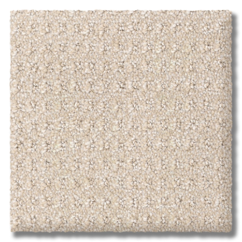 Seabrook Ii Alabaster Polyester Carpet - Loop