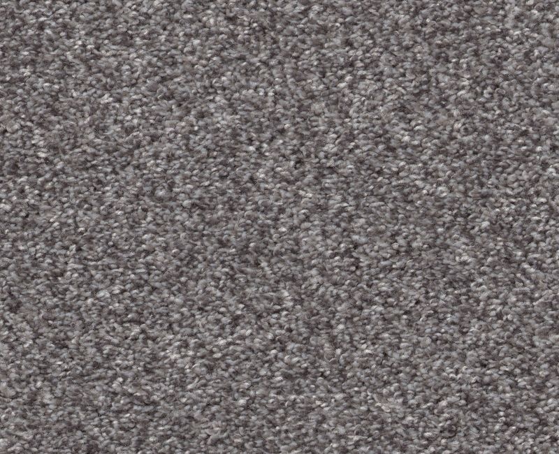 Simple Charm I Silver Lining Polyester Carpet - Loop