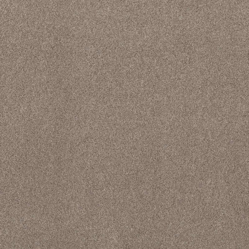 Foundations Live On Comfort Carriage House Nylon Carpet - Textured
