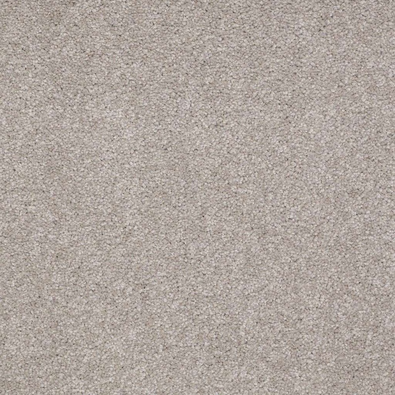 Magic At Last Ii 12 Gunmetal Nylon Carpet - Textured