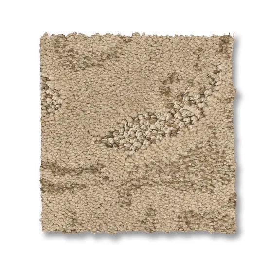 Charismatic Beach Grass Nylon Carpet