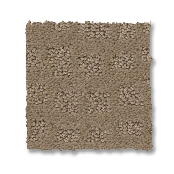 Reawaken Solstice Sierra Hills Nylon Carpet - Loop