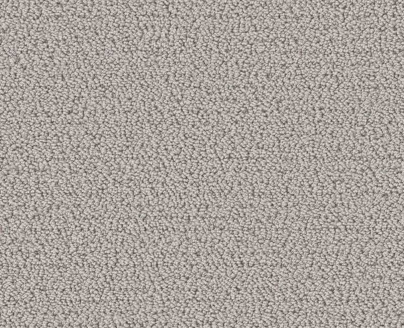 Without A Trace Rock Crystal Polyester Carpet - Textured