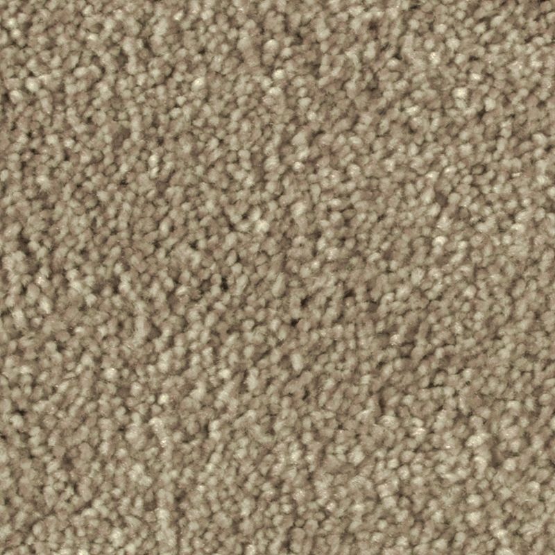Distinct Beauty Ii Yearling Polyester Carpet - Textured