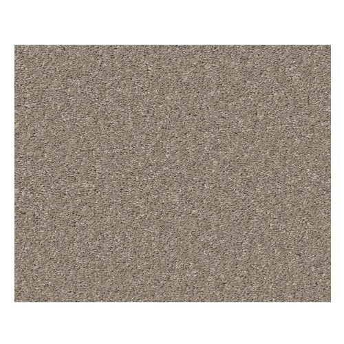 Smooth Talk II Anew Grey Polyester Carpet - Textured