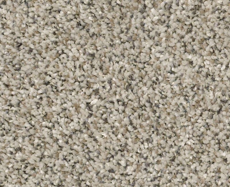 Watts Up Ii River Rock Polyester Carpet - Textured