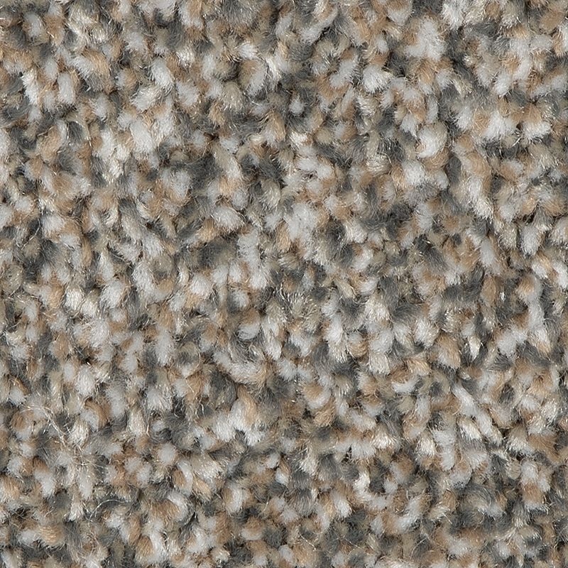 Refreshing Shades Spellbound Polyester Carpet - Textured