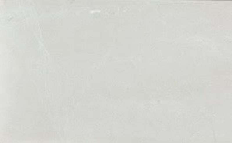 Sea Shell Tile - Brushed - 24" X 48"