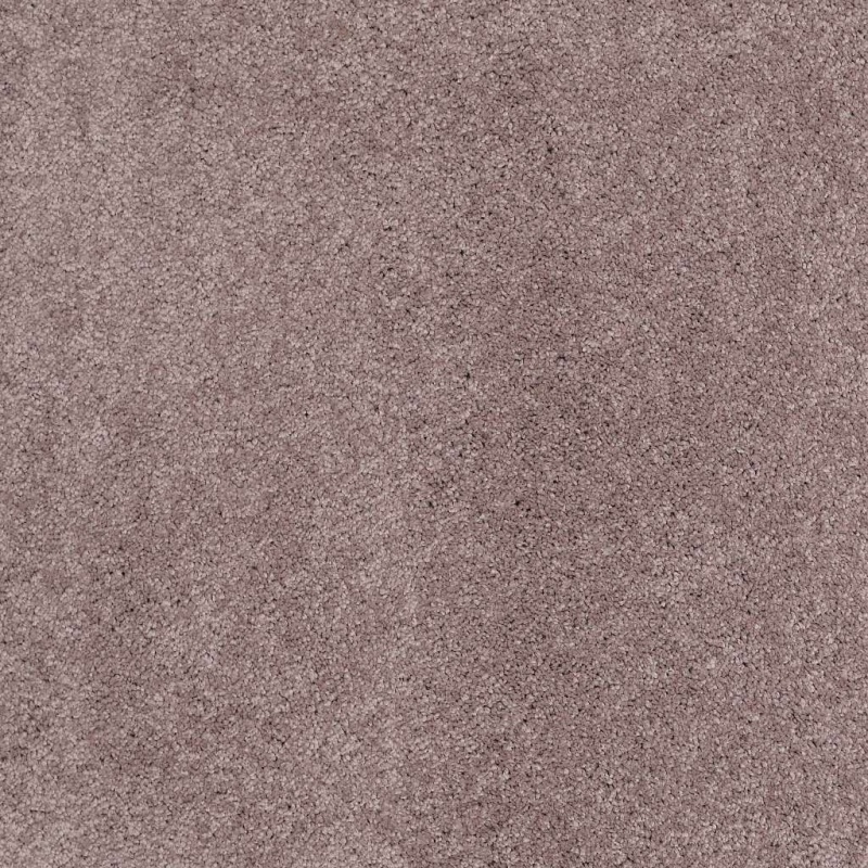 Caress By Shaw Quiet Comfort Classic Ii Heather Nylon Carpet - Textured