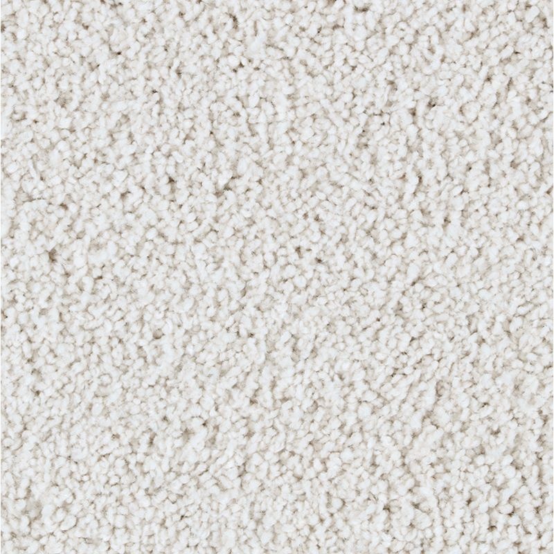 Exquisite Attraction Heirloom Triexta Carpet - Textured