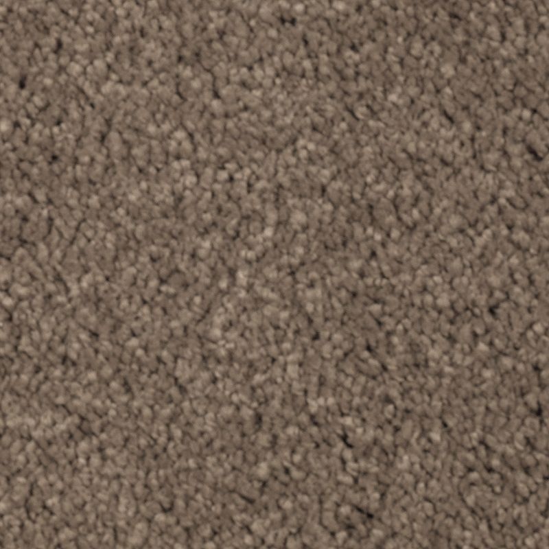 Natural Splendor II Pine Cone Triexta Carpet - Textured
