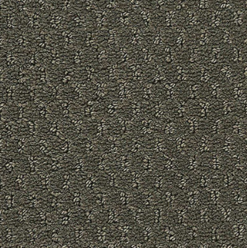 Influencer Classic Update Welded Iron Nylon Carpet - Loop