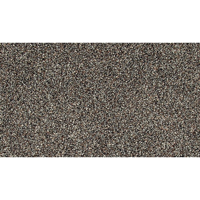 Soft Tempo I Gravel Path Polyester Carpet - Textured