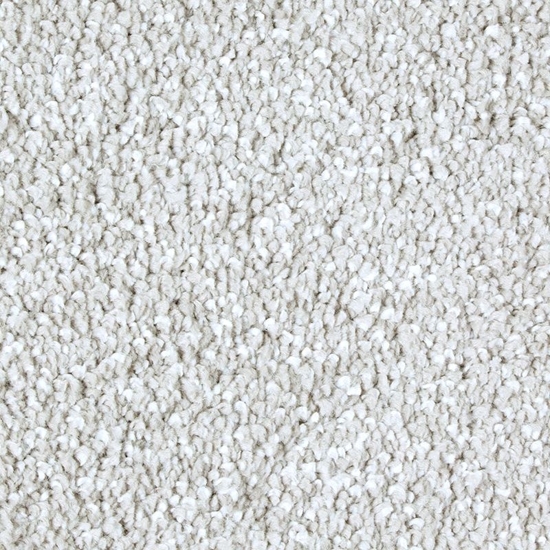 Exquisite Shades Winter Ash Triexta Carpet - Textured