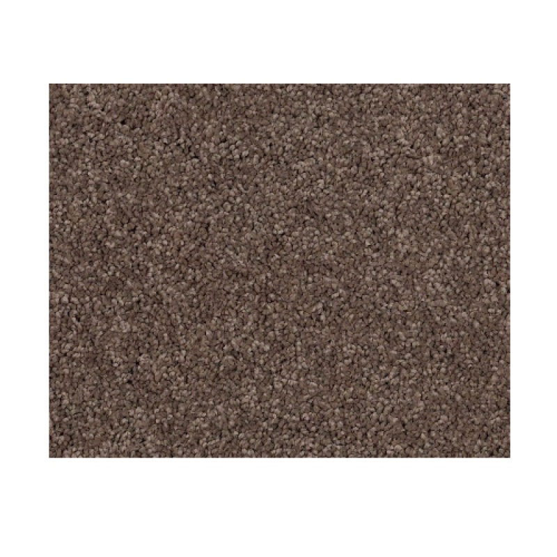 Castle PV II Spring Wood Nylon Carpet - Textured