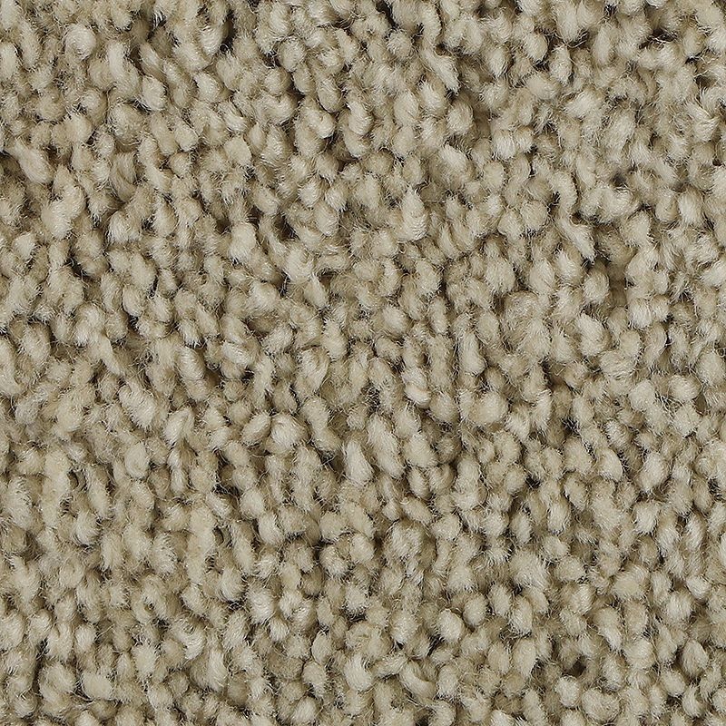 Soft Outlook Fine Vellum Polyester Carpet - Textured