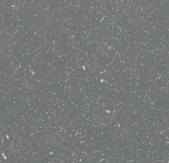 Eternal Step Sr Granite Homogeneous Sheet Vinyl
