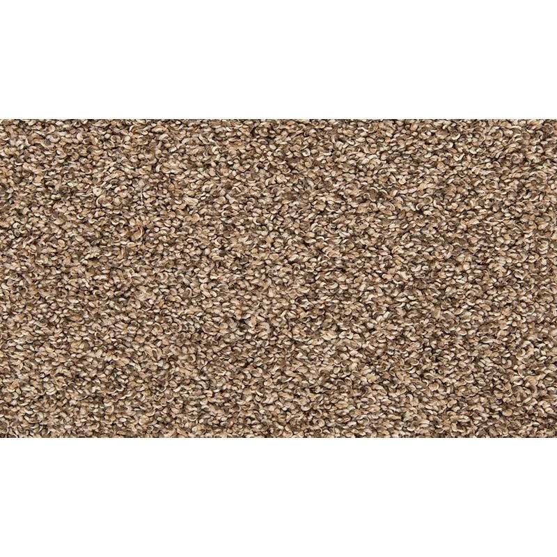 Color Classics I Mystic Wood Polyester Carpet - Textured