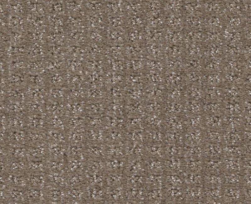 Stay Tuned Papoose Polyester Carpet - Pattern