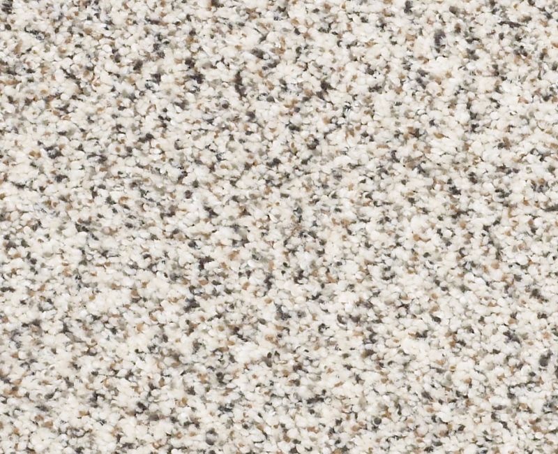 Graceful Texture Accent Artifact Nylon Carpet - Textured
