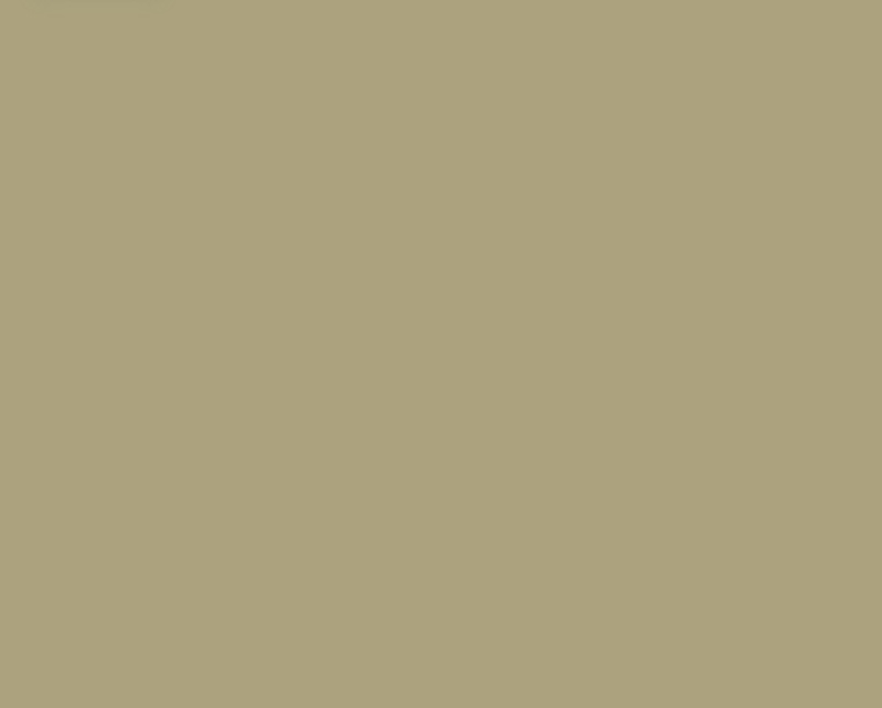 Johnsonite Iguana Solid Color Rubber Tile - Smooth