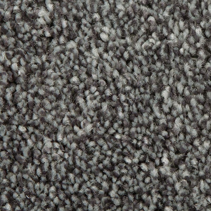 Distinct Beauty I Slate Polyester Carpet - Textured