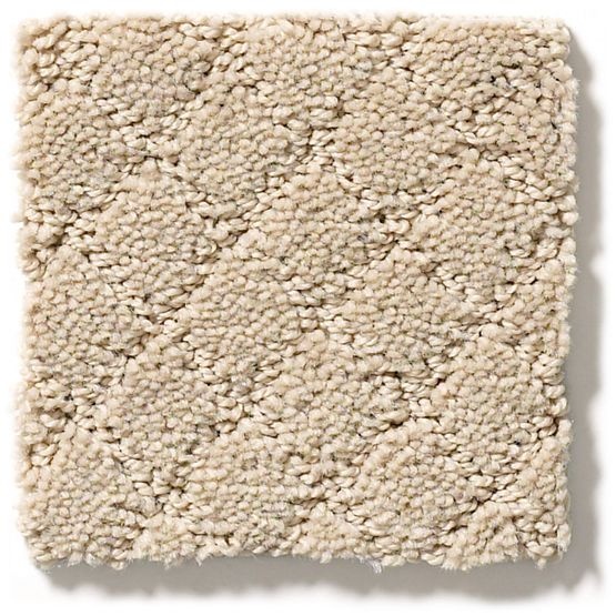 Pet Perfect Pawnache Toffee Cream Nylon Carpet - Pattern