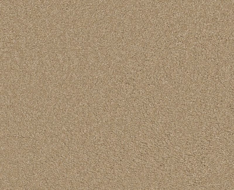 Magic Happens PV IV Antique White Nylon Carpet - Textured