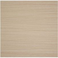 Contemporary Tan Porcelain Tile - Matte - 24" X 24"