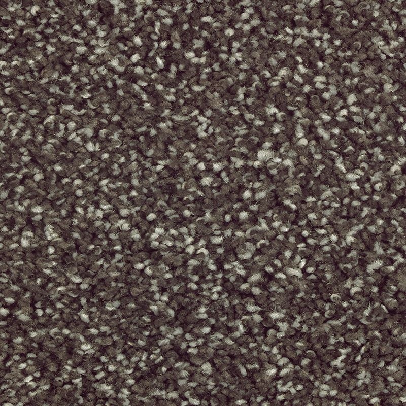 Natural Refinement Ii Wrought Iron Triexta Carpet - Textured