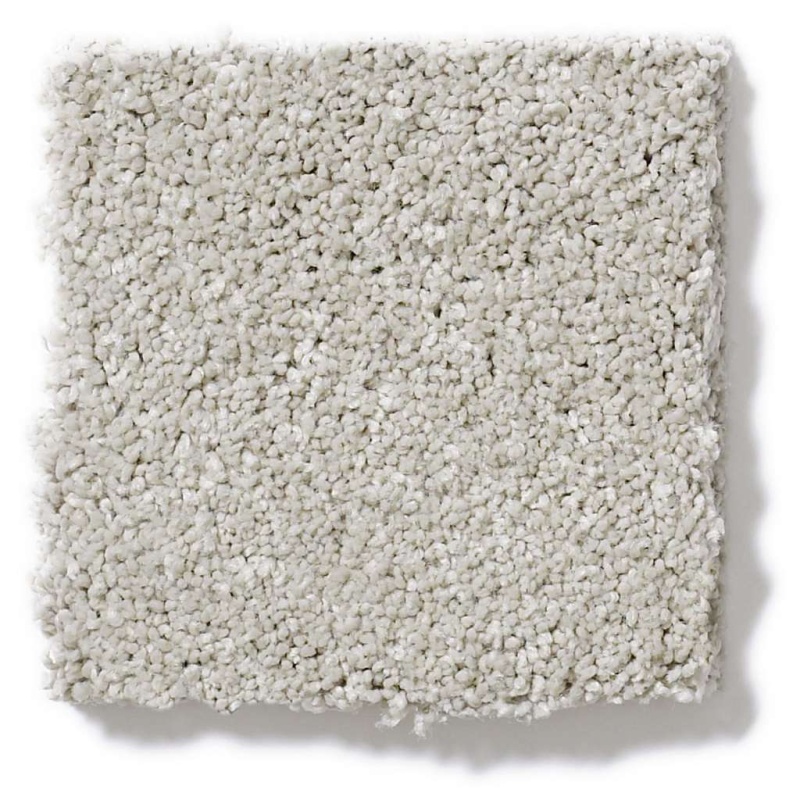 Caress By Shaw Quiet Comfort Classic Iv Froth Nylon Carpet - Textured