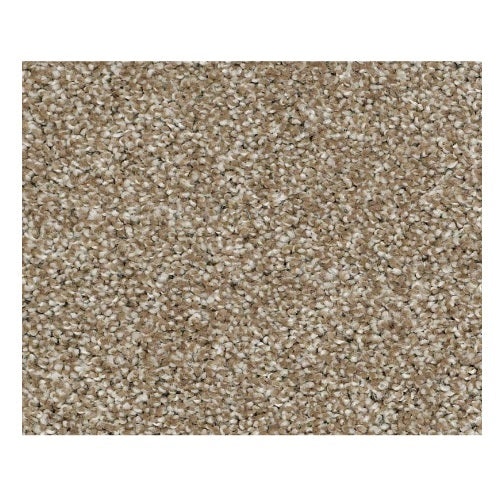 Vacation Day Saddle Nylon Carpet - Textured