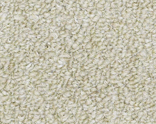 Capital III BL Influential Nylon Carpet - Loop