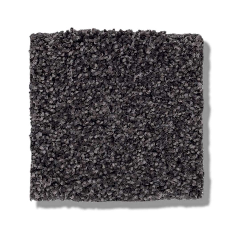 Caress By Shaw Cozy Harbor Ii Wrought Iron Nylon Carpet - Textured