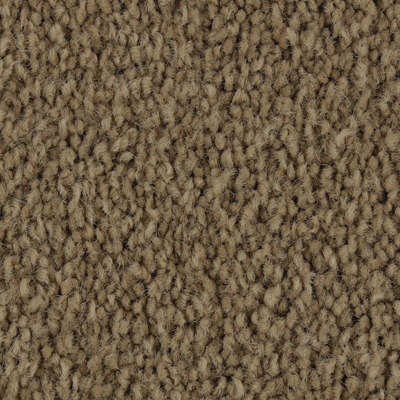 Coastal Fashion I Oyster Bar Nylon Carpet - Textured