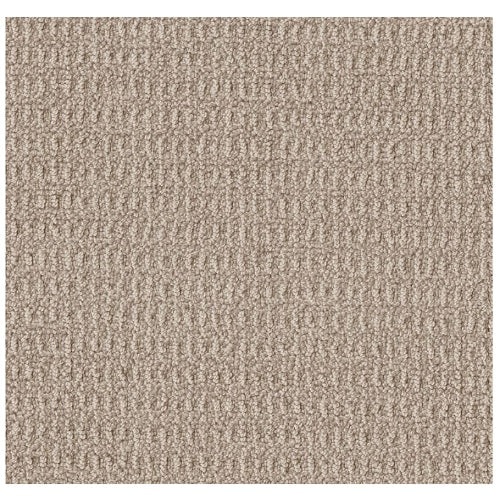 Crystal Cove Oxford Tan Nylon Carpet - Pattern