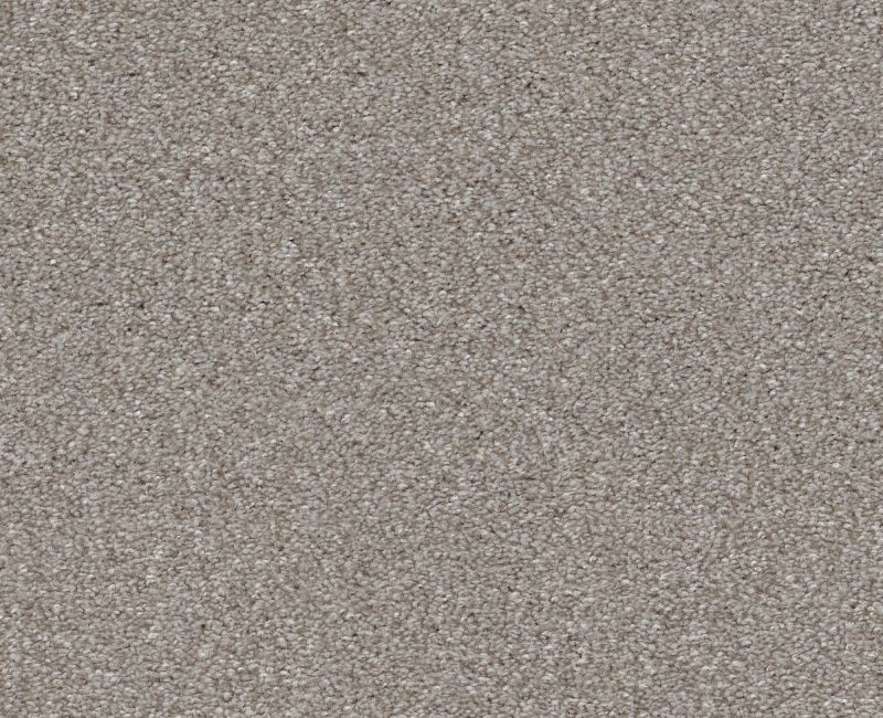 Finders Keepers Soft Fleece Polyester Carpet - Loop
