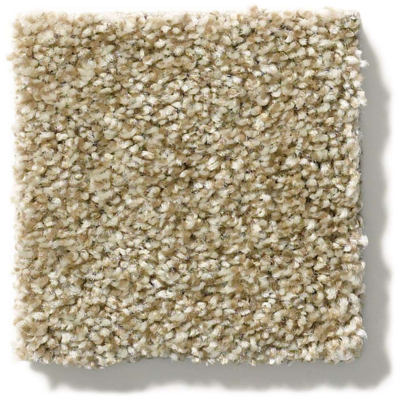 Simply The Best Cabana Life (T) Dried Clay Polyester Carpet - Textured