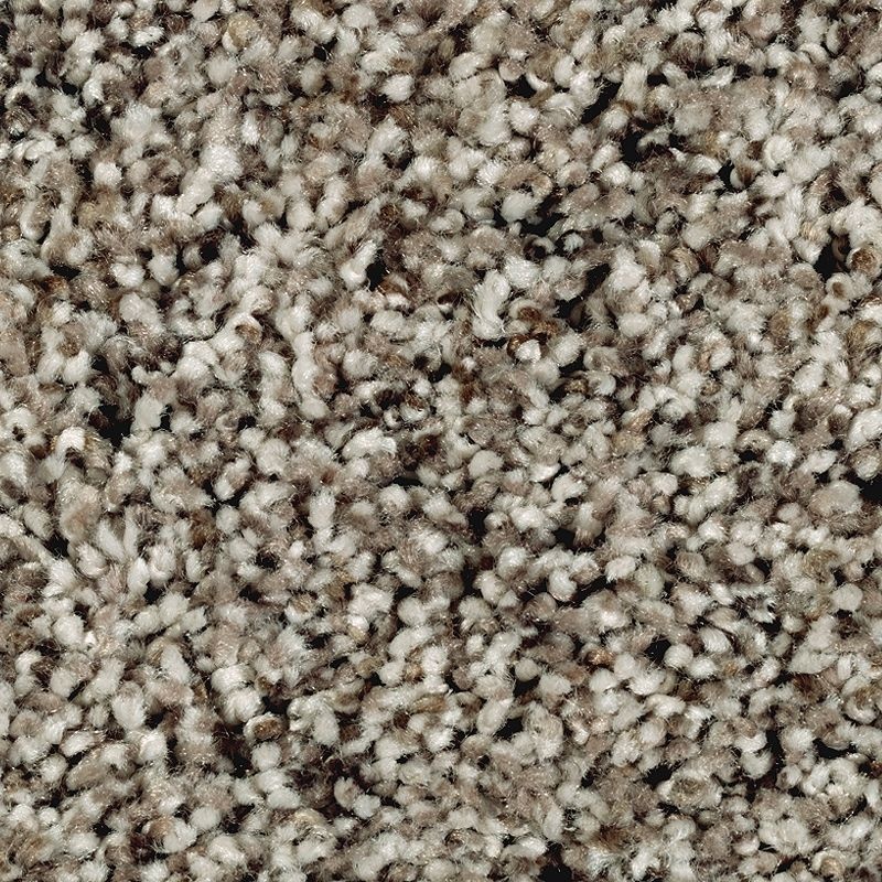 Softly Elegant I Beige Twill Polyester Carpet