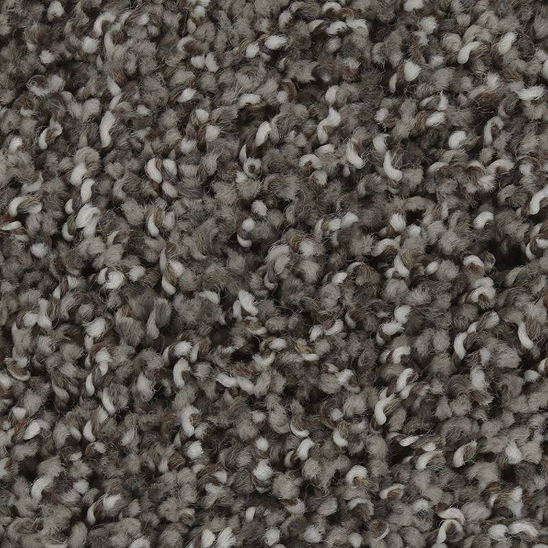 Exquisite Character Cityline Triexta Carpet - Textured
