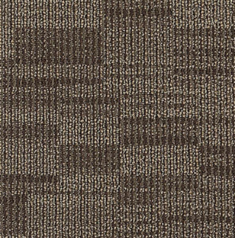 Inspiration Distinctive Appeal QS Vivid Vision Nylon Carpet - Loop