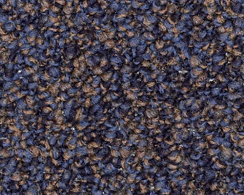 No Limits 22 Expansive Nylon Carpet - Loop