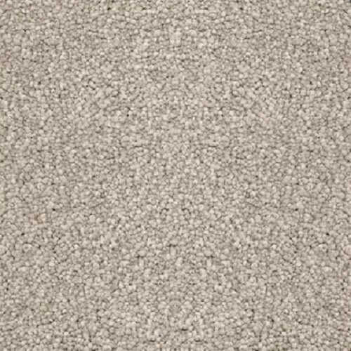 Magic Moment Ii Glacier Polyester Carpet - Textured
