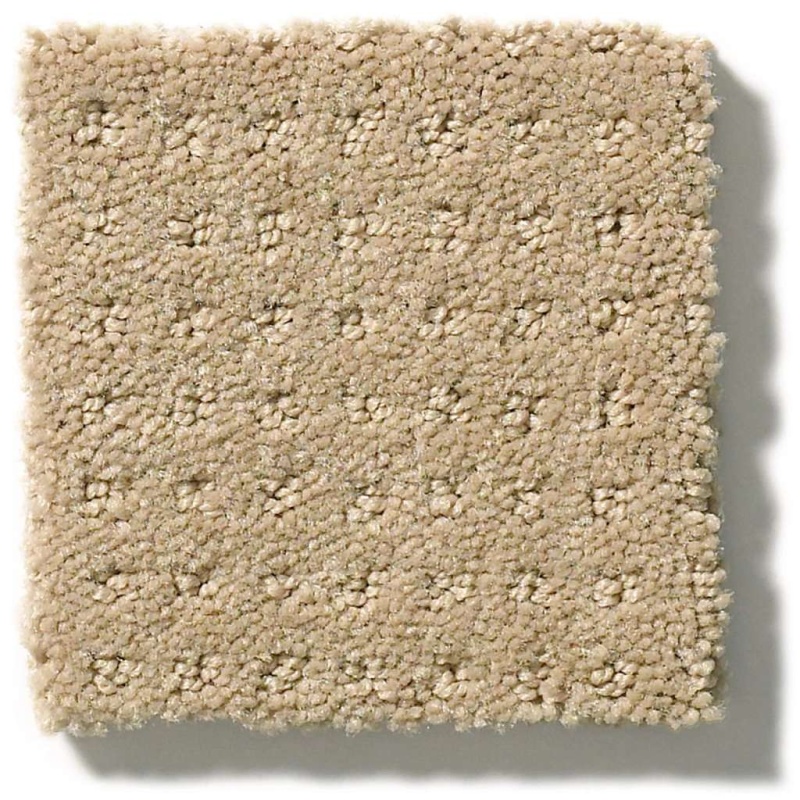Foundations Alluring Disposition Espresso Nylon Carpet - Pattern