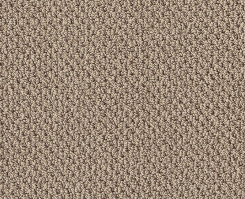 Playa Azul II Espresso Nylon Carpet - Loop