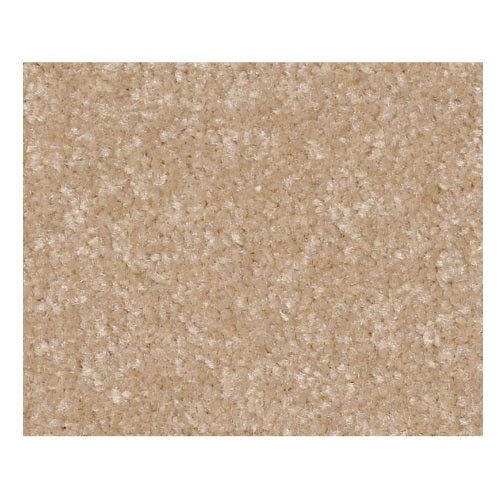 Qs236 Ii 15' Sugar Cookie Nylon Carpet - Textured