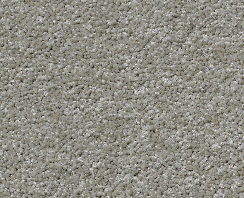 Great Choice Smooth Taupe Nylon Carpet - Textured