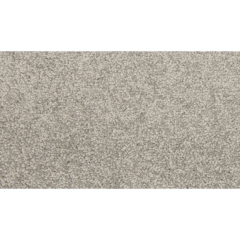 Refreshing Charm Ice Grey Polyester Carpet - Textured